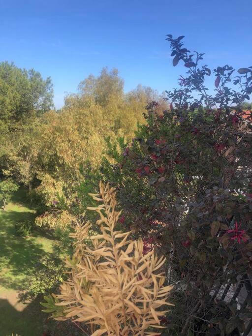 Casa Incantevole Con Vista Parco Appia Antica Βίλα Ρώμη Εξωτερικό φωτογραφία