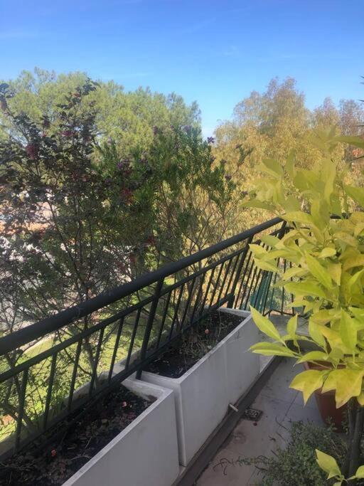 Casa Incantevole Con Vista Parco Appia Antica Βίλα Ρώμη Εξωτερικό φωτογραφία